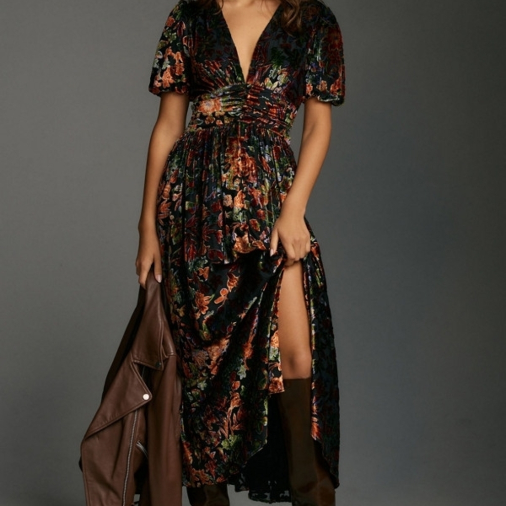 Anthropologie Multicolor Velvet Maxi Dress